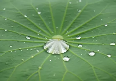 Imagen PNG para descargar